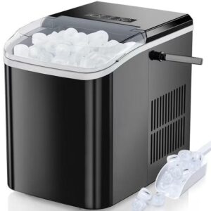 Ice Maker